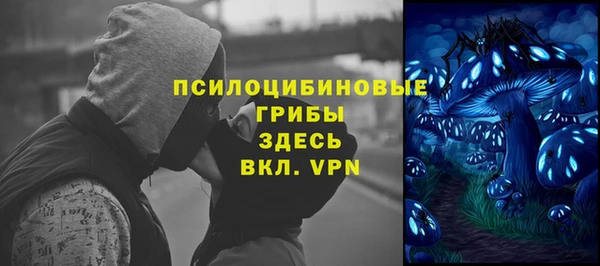гидра Алексин