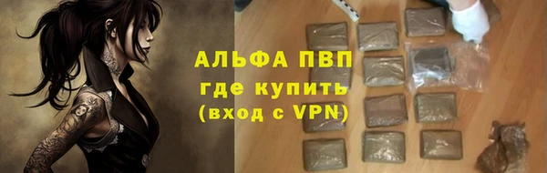 гидра Алексин