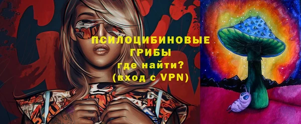ECSTASY Алзамай