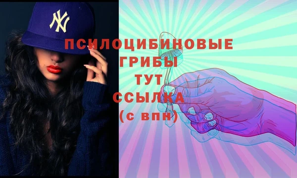 гидра Алексин