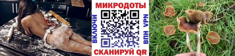 Галлюциногенные грибы ЛСД  продажа наркотиков  Солнечногорск 
