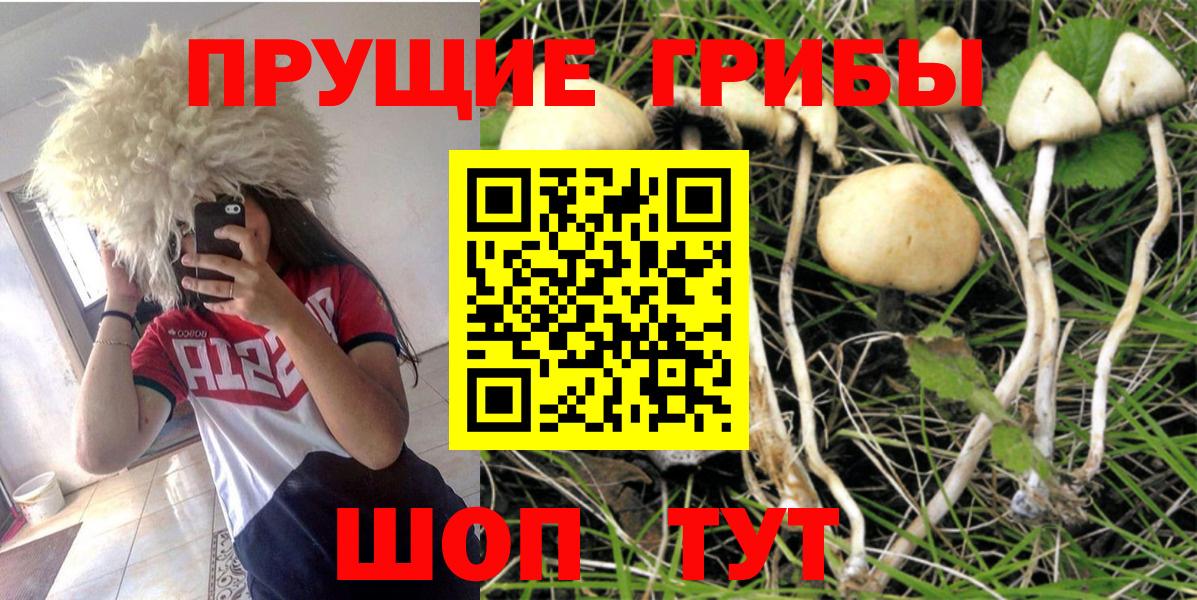 Галлюциногенные грибы мухоморы Солнечногорск